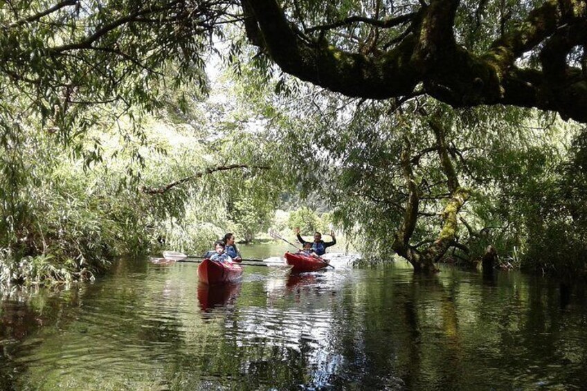 Kayak Laguna La Poza 1/2 day