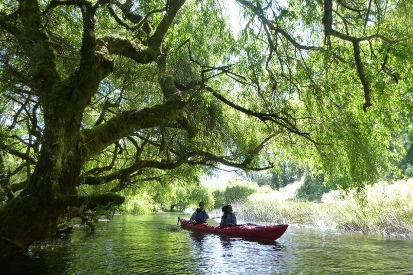 Kayak Laguna La Poza 1/2 day