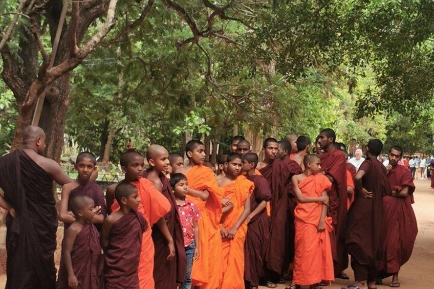 Around Sri Lanka Tours 5