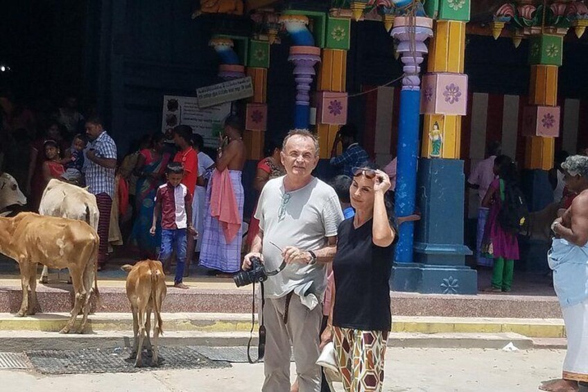Around Sri Lanka Tours 1