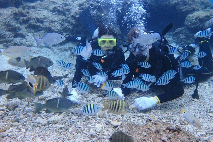 Blue Cave Area Experience Diving!Free feeding & photo images Chinese guide available!1 group with a dedicated instructor 3
