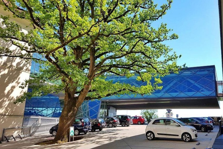 Una calle arbolada con coches aparcados y un edificio moderno con fachada azul. 3