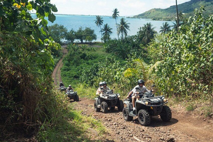 Bora Bora ATV Tour Adventures: Mount Popoti 360° & Faanui Valley 3