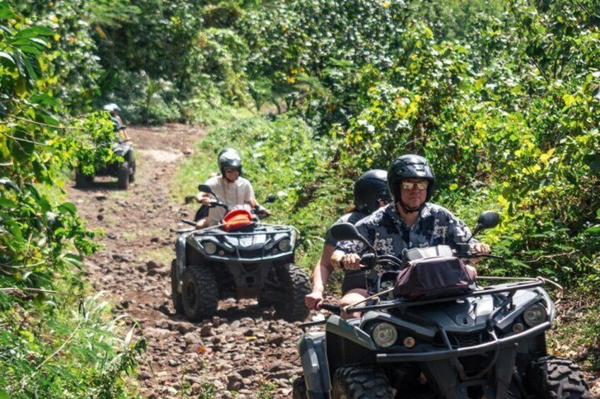 Two people riding ATVs on a dirt path surrounded by greenery. 4