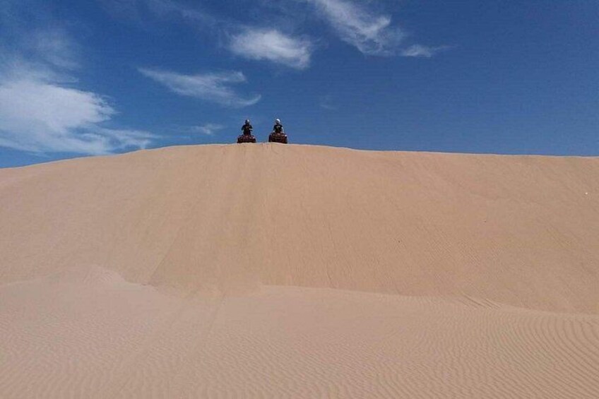 Essaouira P12: 1h Quad bike tour and 1h dromedary Ride 1