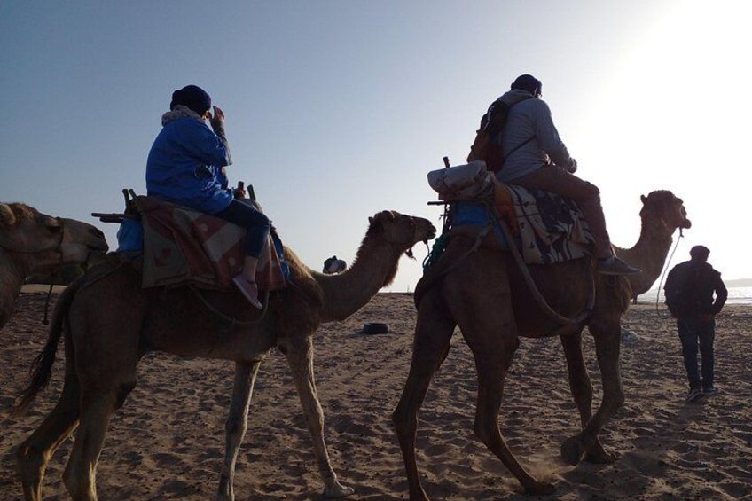 Essaouira P12: 1h Quad bike tour and 1h dromedary Ride 3