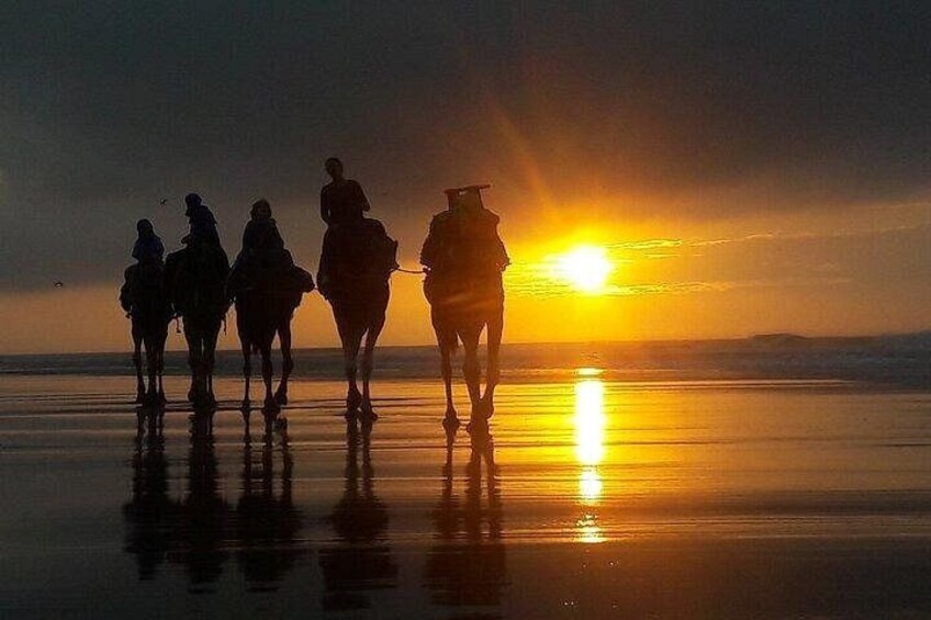Silhuetter af personer, der rider på heste på en strand ved solnedgang. 1