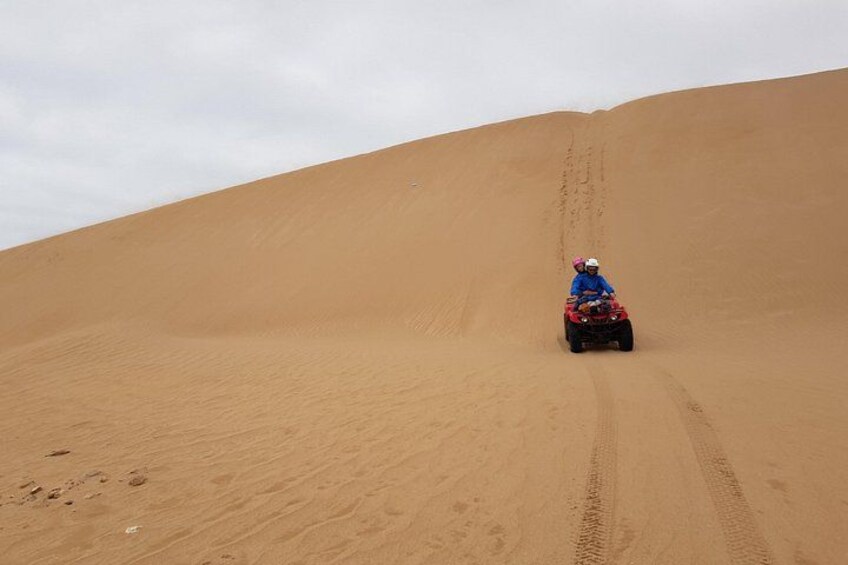 Essaouira P12: 1h Quad bike tour and 1h dromedary Ride 5
