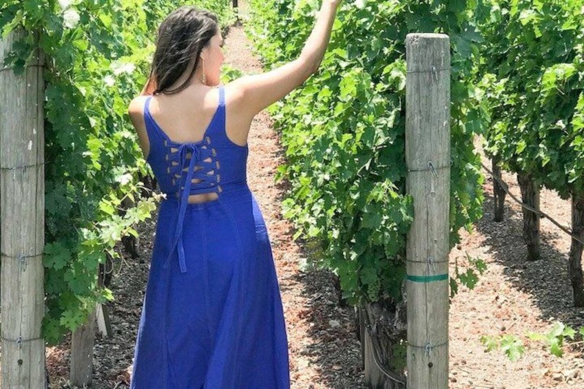A person in a blue dress walking through a vineyard. 4