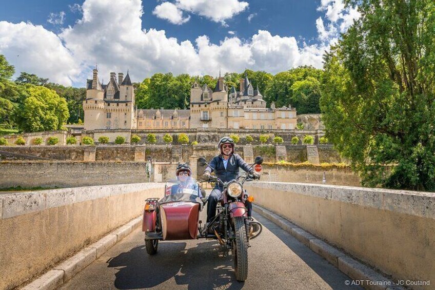 Half day tour on sidecar from Tours