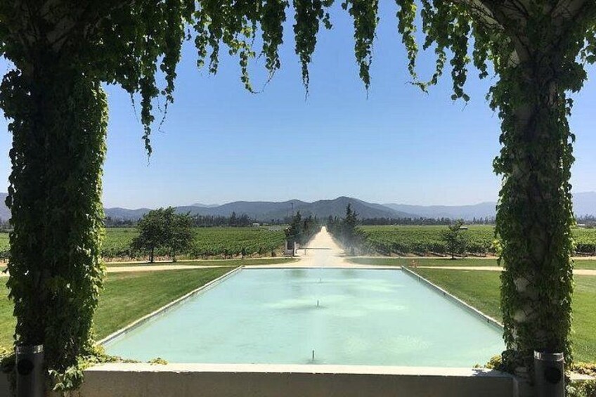 A pool with a view of a vineyard and mountains in the distance. 3