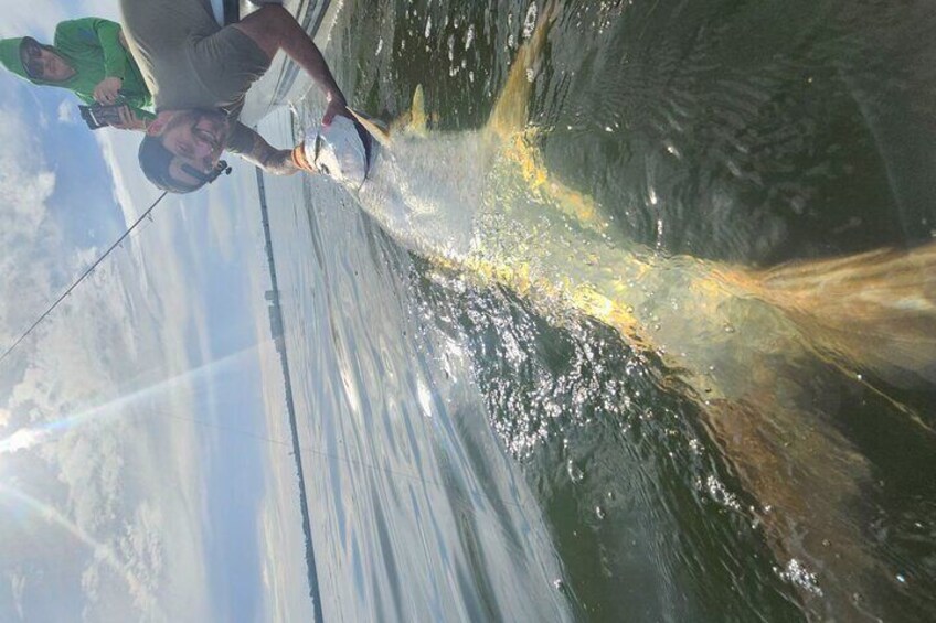 Light Tackle Tarpon & Snook Fishing Charter