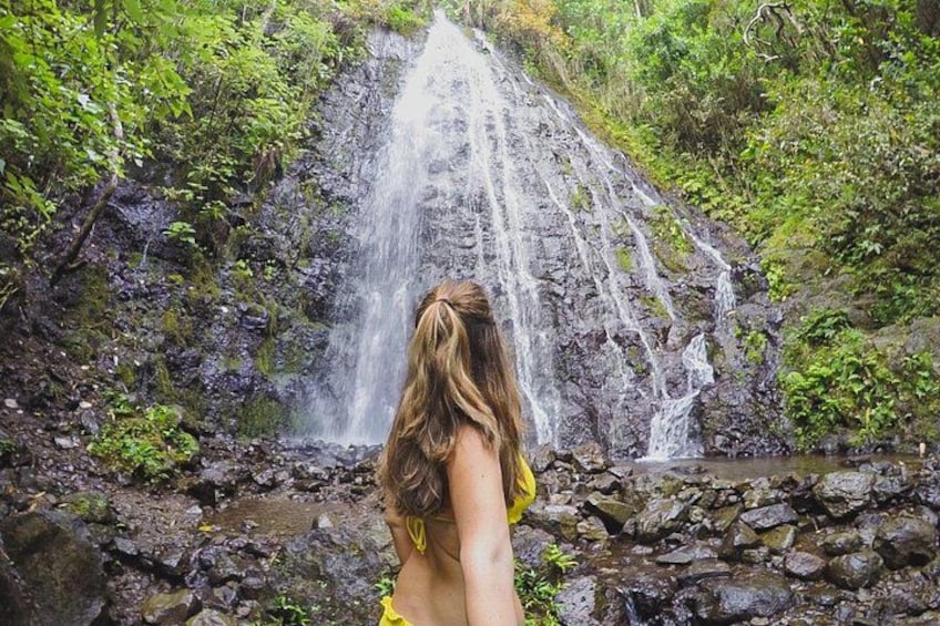 A waterfall in a forested area with a person standing in front of it. 3