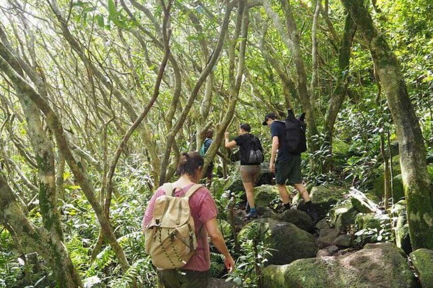 Paradise valley excursion 2