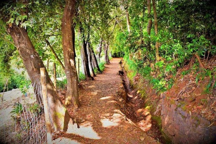 Paradise valley excursion 5