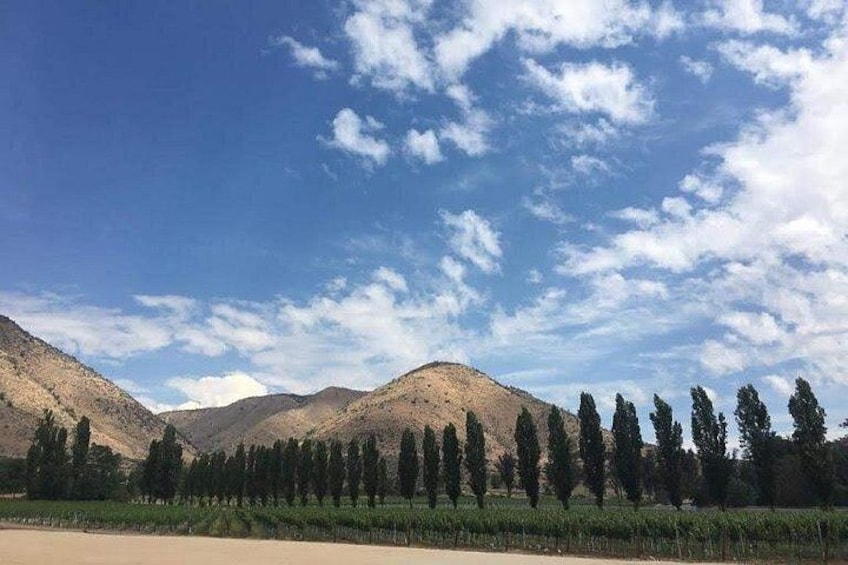 Maipo Valley 1