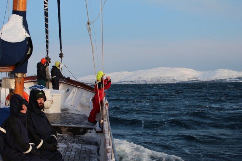 Una barca con persone vestite per l'inverno su un mare innevato. 4
