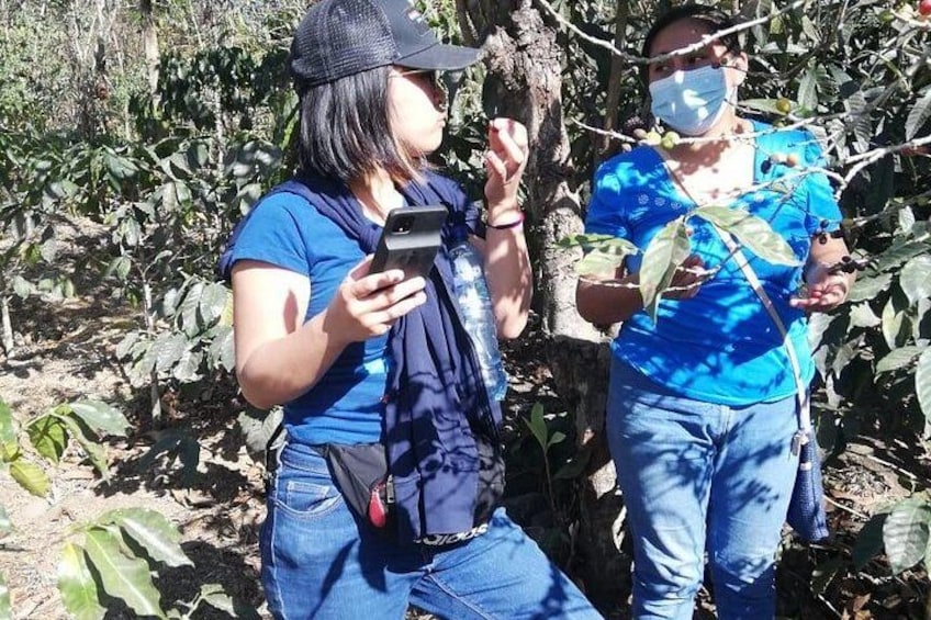 Coffee Tour Adventure Antigua Guatemala 5
