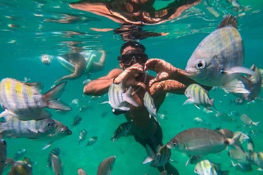 Full Day Tour to Angra dos Reis with Lunch 1