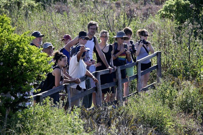 A group of people standing on a wooden bridge in a natural setting. 2