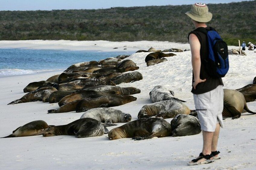 Galapagos last minute 1