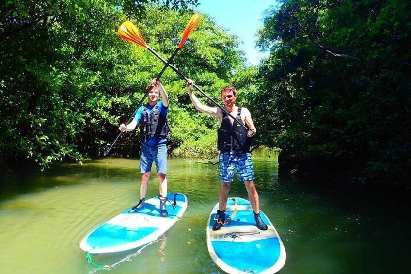 Due persone in paddleboard su un fiume calmo, circondate da fitta vegetazione. 5