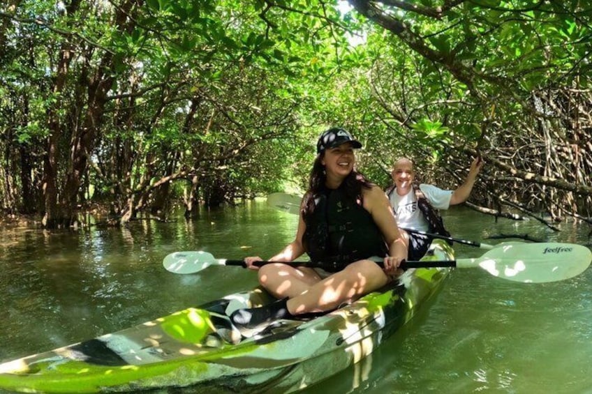 Two people kayaking in a mangrove forest. 1