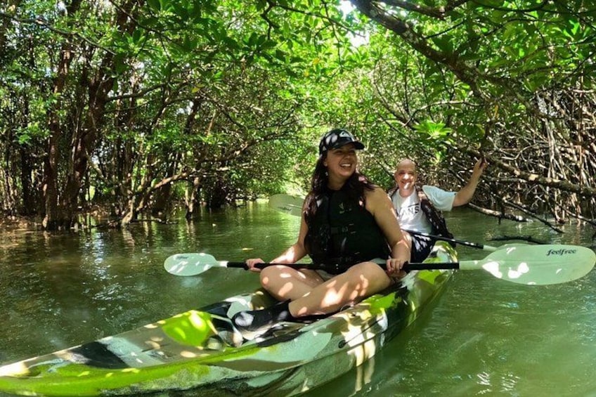 Two people kayaking in a mangrove forest. 1