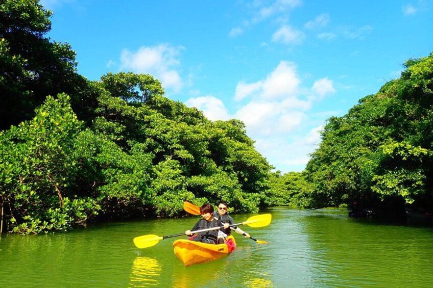 Two people kayaking down a river surrounded by dense green foliage. 5