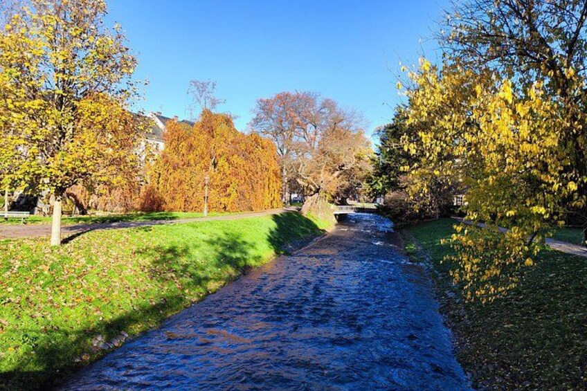 Lichtentaller Alee in autumn 3