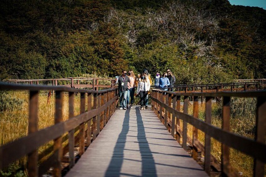 A wooden pedestrian bridge with railings, surrounded by dense greenery and trees. 1