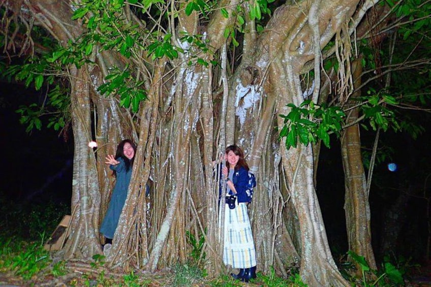 Okinawa Ishigaki Island Night Starry sky and Jungle night tour 4