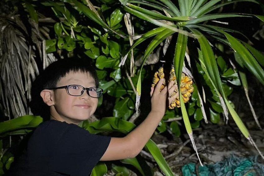 A person holding a bunch of yellow bananas. 4
