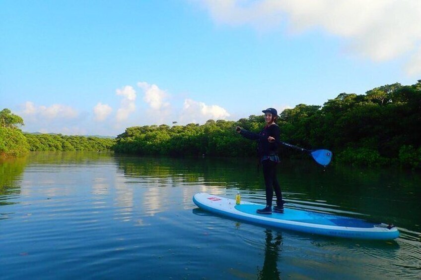 Okinawa Ishigaki Mangrove SUP or Canoe Tour 1