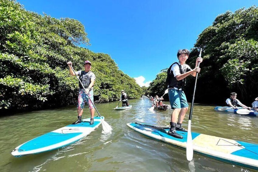 People paddleboarding on a river surrounded by dense mangrove trees. 3
