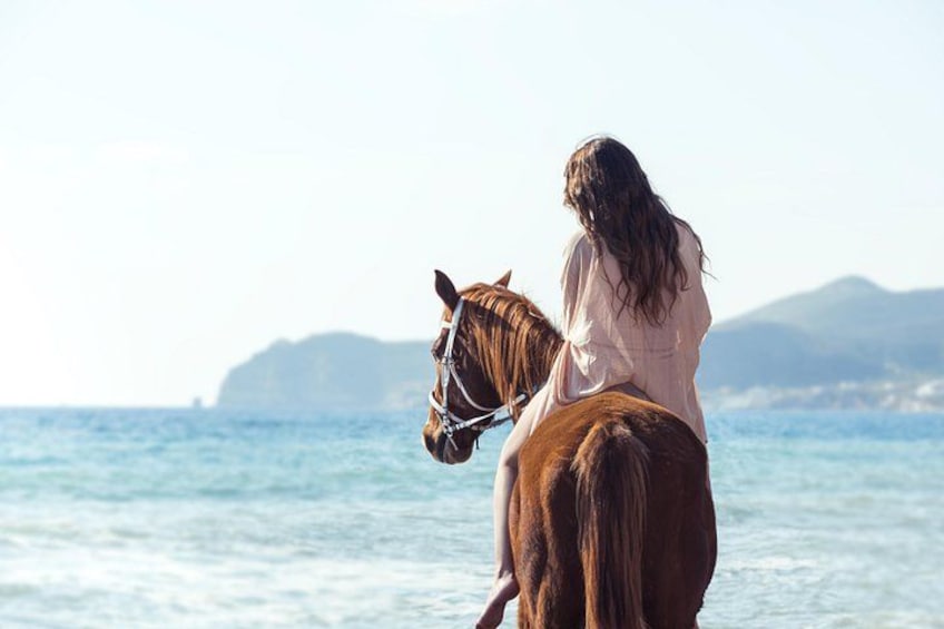 Santorini Horse riding to Eros beach 5