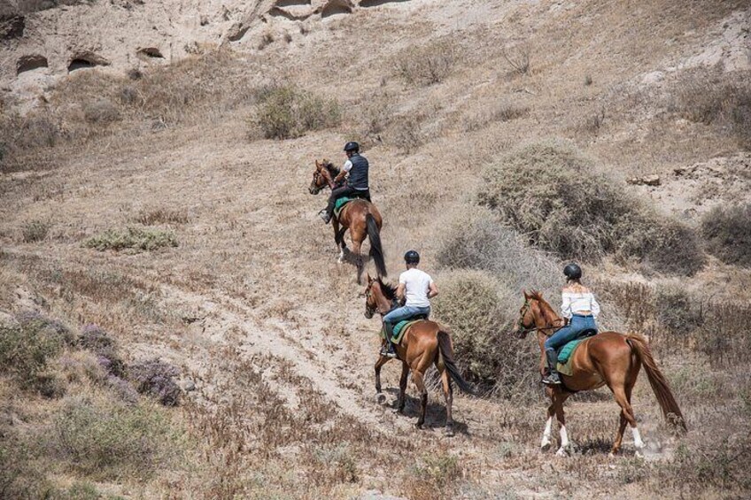 Santorini Horse riding to Eros beach 2