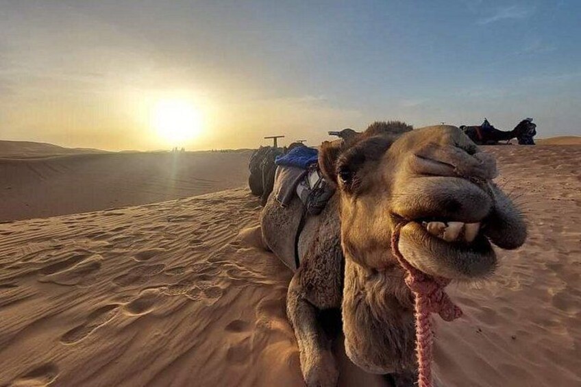 Explore Tangier: Cape Espartel, caves and camel ride. 4
