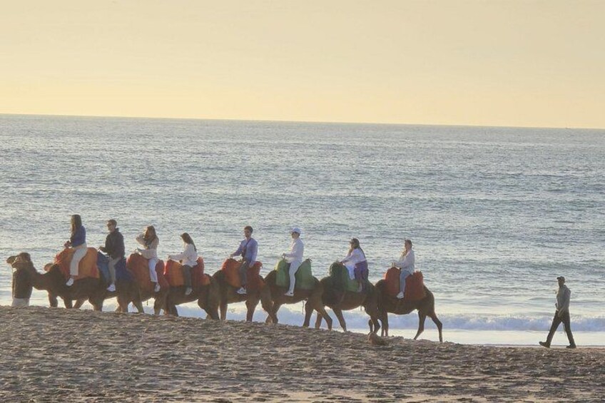 Explore Tangier: Cape Espartel, caves and camel ride. 2