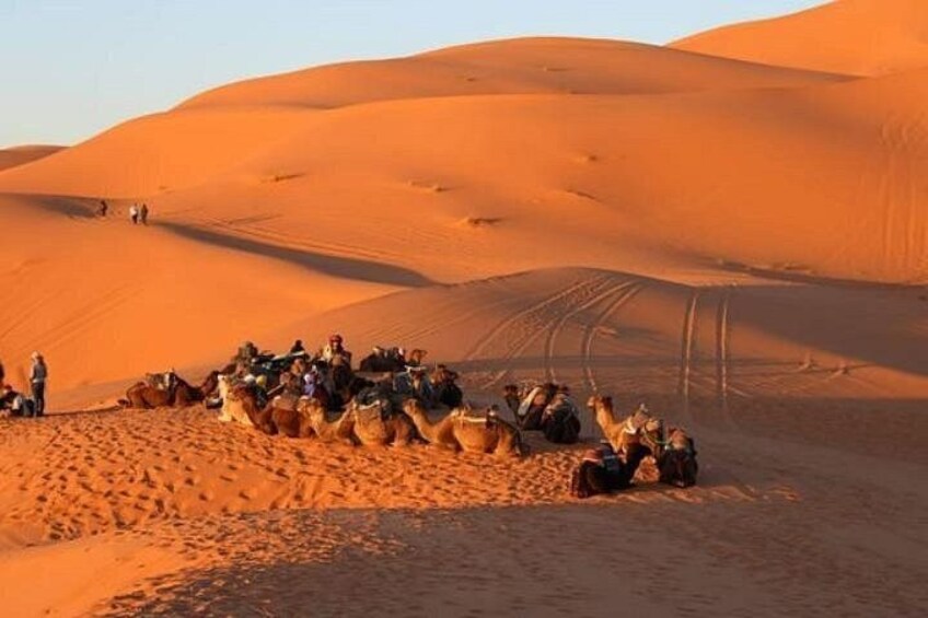 Explore Tangier: Cape Espartel, caves and camel ride. 1