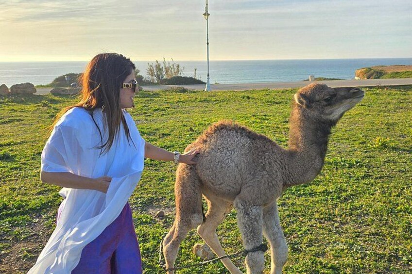 Explore Tangier: Cape Espartel, caves and camel ride. 3