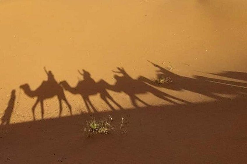 Explore Tangier: Cape Espartel, caves and camel ride. 2