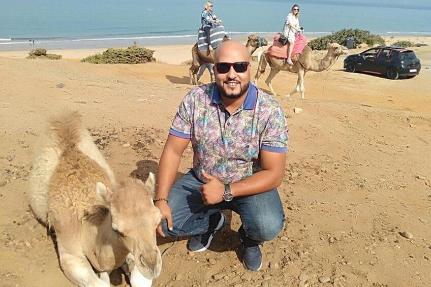 Explore Tangier: Cape Espartel, caves and camel ride. 3
