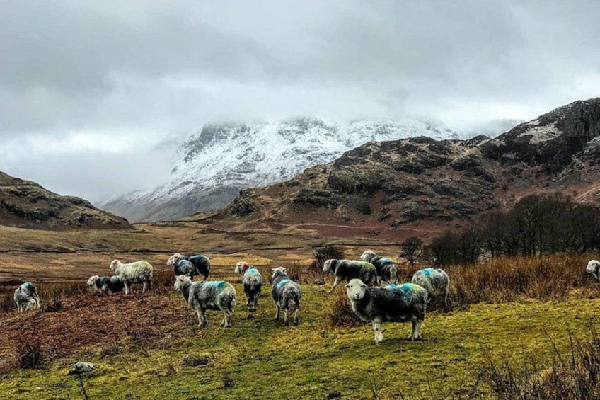 Lake District Adventure Sightseeing Day Trip from Liverpool 3
