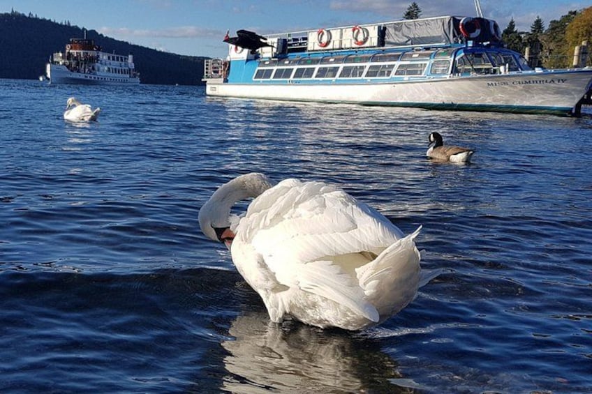 Lake District Adventure Sightseeing Day Trip from Liverpool 2