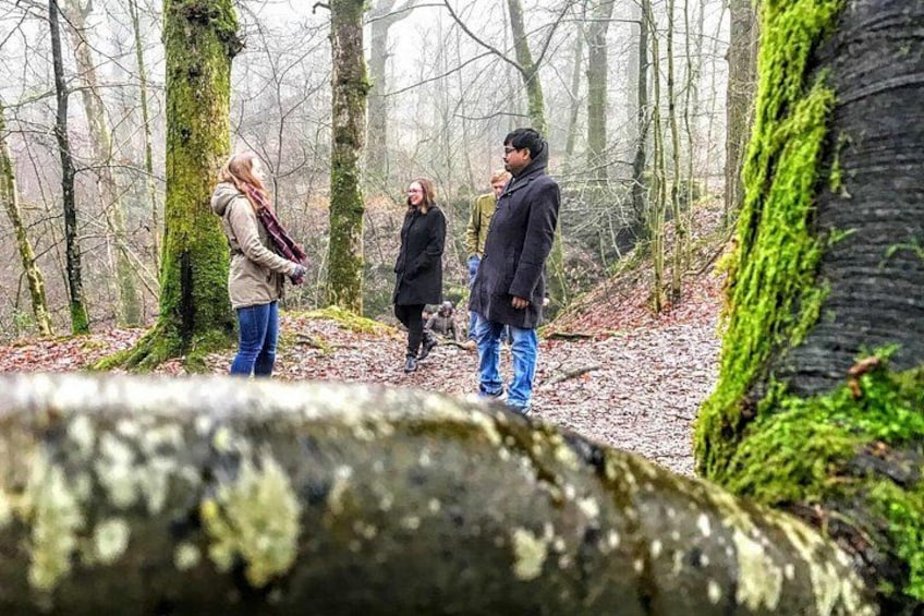 Lake District Adventure Sightseeing Day Trip from Liverpool 3