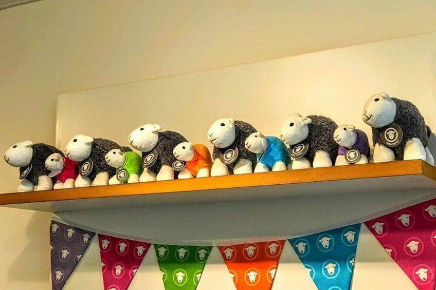Did someone mention sheep? 2