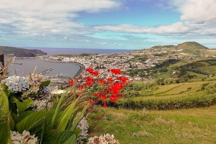 Un pueblo costero con una bahía, colinas verdes y flores rojas en primer plano. 4