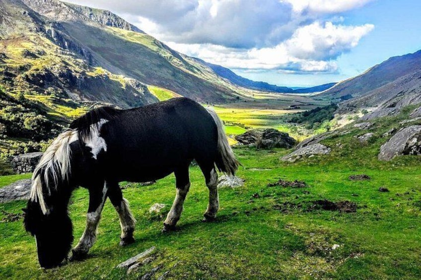North Wales Adventure Sightseeing Day Trip from Liverpool 2