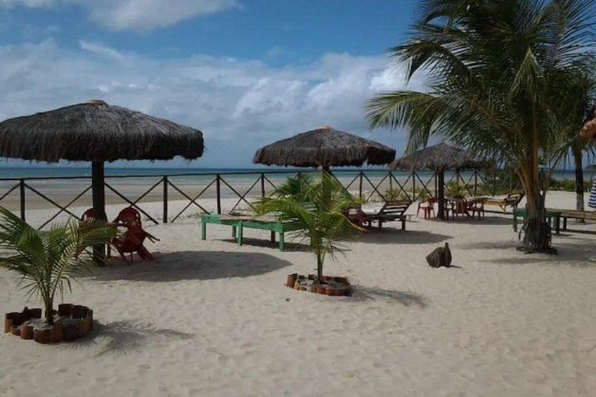 Tour to Frades Island and Itaparica - Departure from Salvador 5
